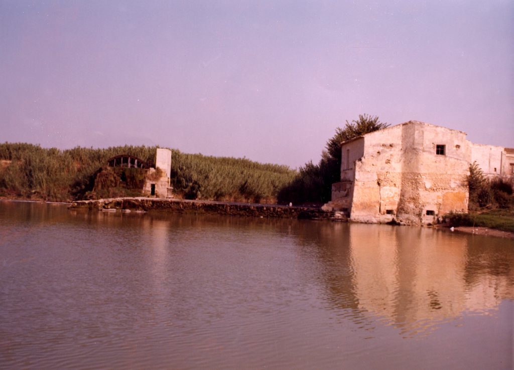 Molino harinero